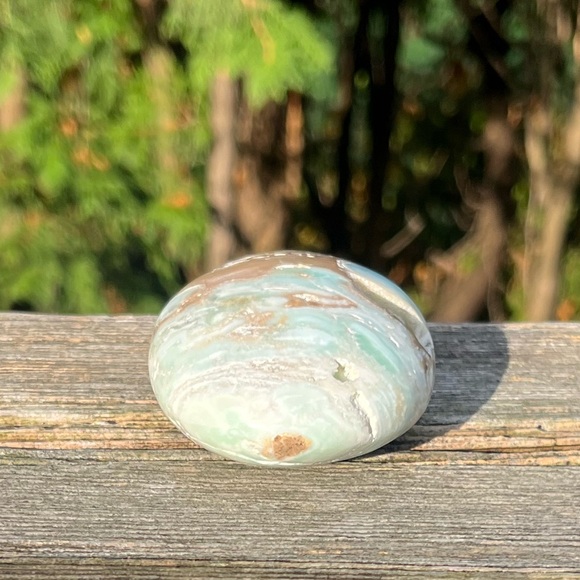 Caribbean Calcite Palm - Picture 3 of 5